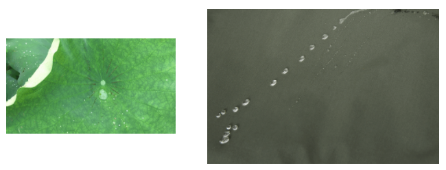 金年汇医用纺织