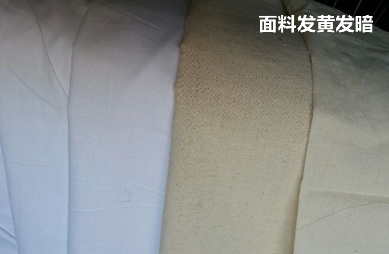 金年汇医防医用面料