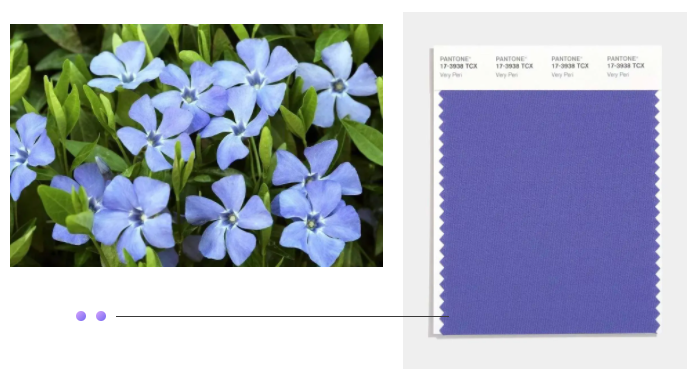 金年汇纺织面料