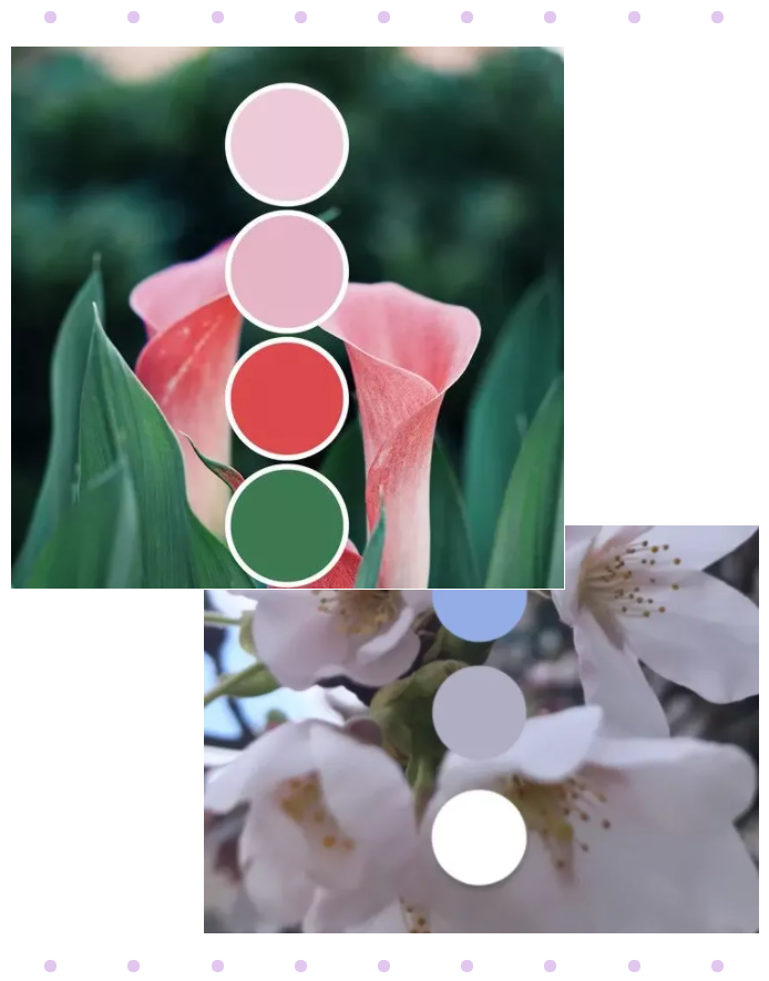 金年汇纺织面料