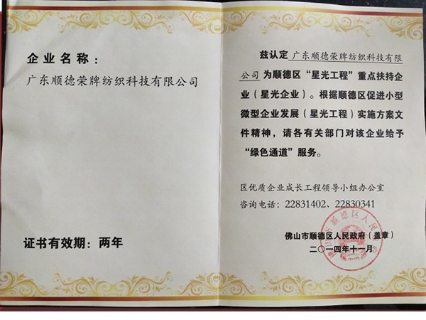 金年汇荣获政府重点扶持企业